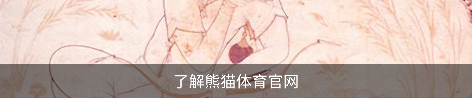 了解熊猫体育官网